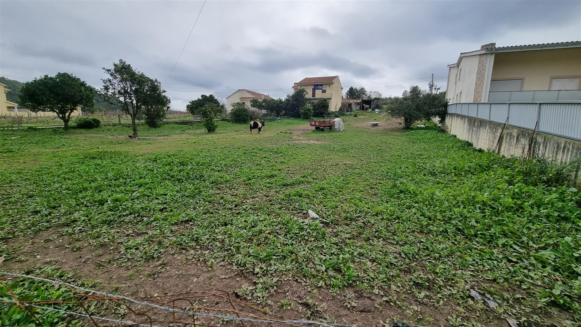 Terreno Rústico com Potencial Urbano – Granja do Ulmeiro, Soure