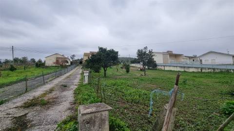 Terreno Rústico com Potencial Urbano – Granja do Ulmeiro, Soure