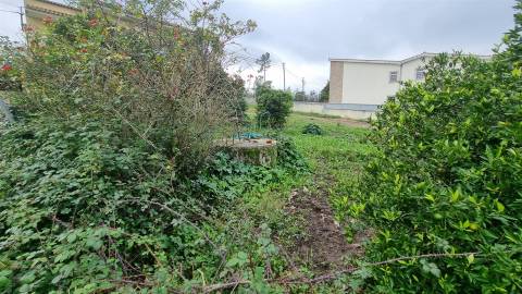 Terreno Rústico com Potencial Urbano – Granja do Ulmeiro, Soure