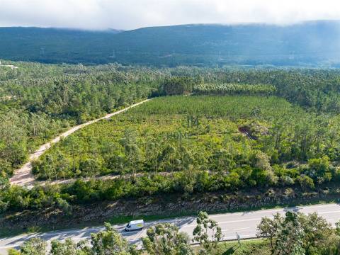 Edifício com Projeto Aprovado para Lar | Pedreiras – Porto de Mós, Leiria