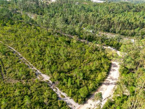 Edifício com Projeto Aprovado para Lar | Pedreiras – Porto de Mós, Leiria
