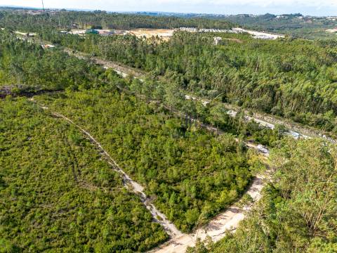 Edifício com Projeto Aprovado para Lar | Pedreiras – Porto de Mós, Leiria