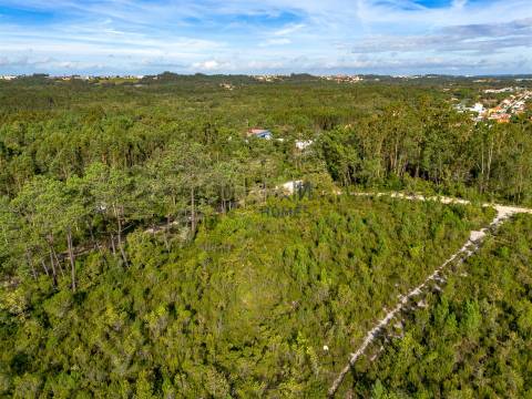 Edifício com Projeto Aprovado para Lar | Pedreiras – Porto de Mós, Leiria