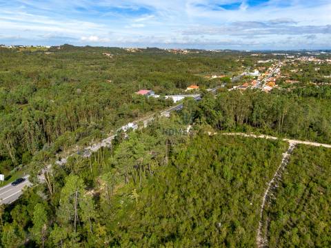 Edifício com Projeto Aprovado para Lar | Pedreiras – Porto de Mós, Leiria