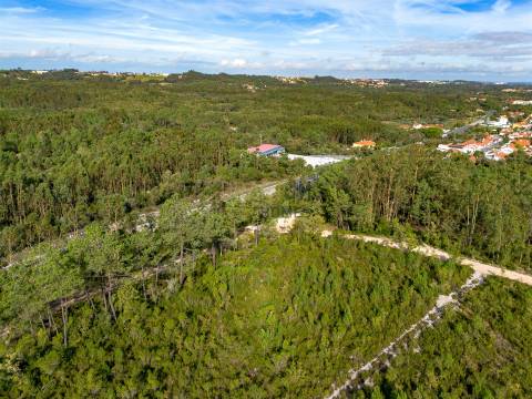 Edifício com Projeto Aprovado para Lar | Pedreiras – Porto de Mós, Leiria