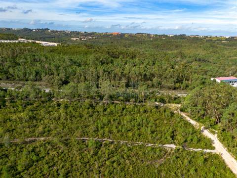 Edifício com Projeto Aprovado para Lar | Pedreiras – Porto de Mós, Leiria