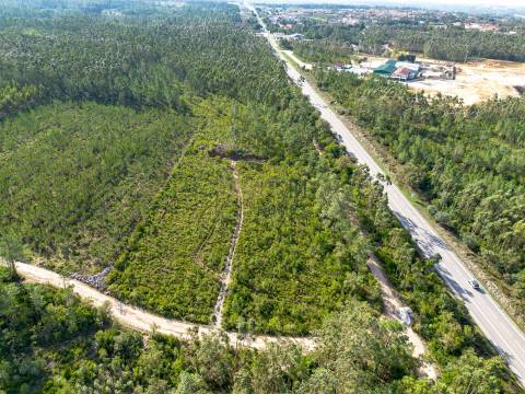 Edifício com Projeto Aprovado para Lar | Pedreiras – Porto de Mós, Leiria