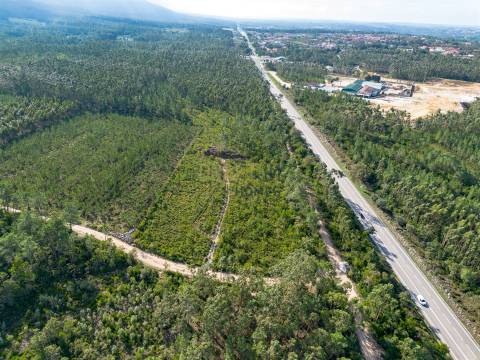 Edifício com Projeto Aprovado para Lar | Pedreiras – Porto de Mós, Leiria