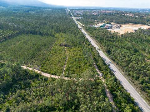 Edifício com Projeto Aprovado para Lar | Pedreiras – Porto de Mós, Leiria