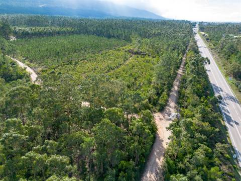 Edifício com Projeto Aprovado para Lar | Pedreiras – Porto de Mós, Leiria
