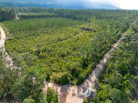 Edifício com Projeto Aprovado para Lar | Pedreiras – Porto de Mós, Leiria