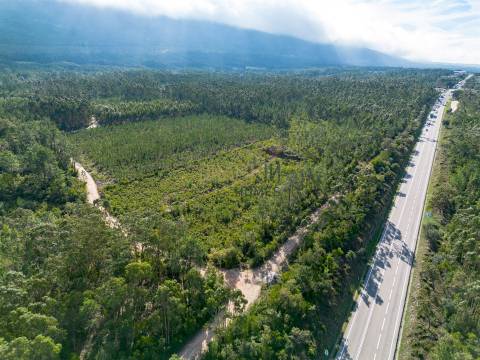 Edifício com Projeto Aprovado para Lar | Pedreiras – Porto de Mós, Leiria