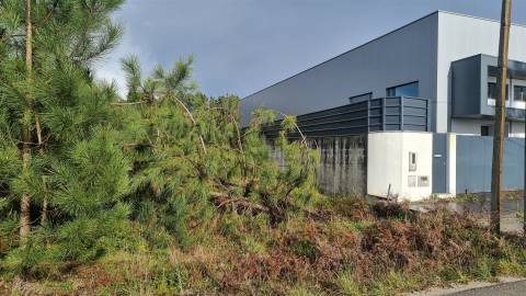 Terreno Industrial 5.110m² em Picassinos, Marinha Grande