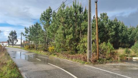 Terreno Industrial 5.110m² em Picassinos, Marinha Grande