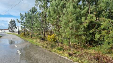 Terreno Industrial 5.110m² em Picassinos, Marinha Grande