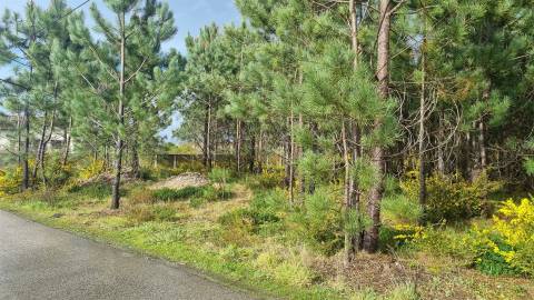 Terreno Industrial 5.110m² em Picassinos, Marinha Grande