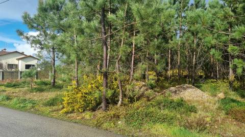 Terreno Industrial 5.110m² em Picassinos, Marinha Grande