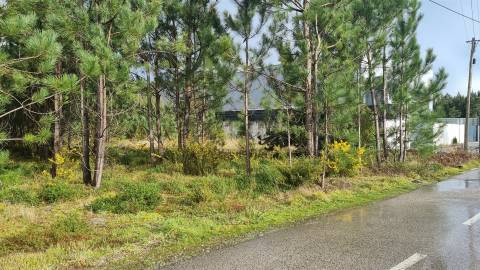 Terreno Industrial 5.110m² em Picassinos, Marinha Grande