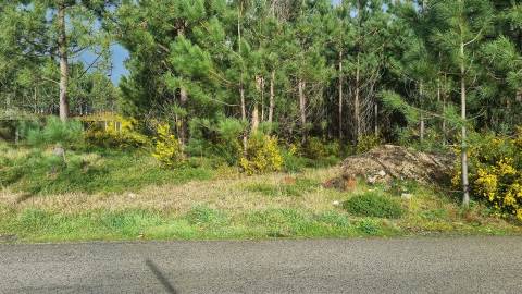 Terreno Industrial 5.110m² em Picassinos, Marinha Grande