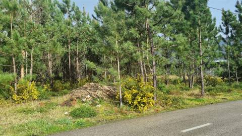 Terreno Industrial 5.110m² em Picassinos, Marinha Grande