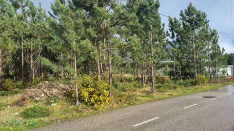 Terreno Industrial 5.110m² em Picassinos, Marinha Grande