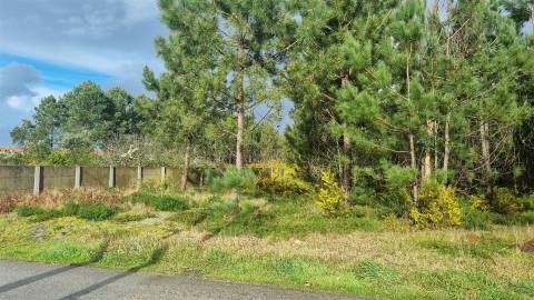 Terreno Industrial 5.110m² em Picassinos, Marinha Grande