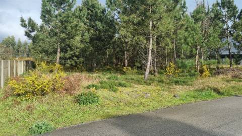 Terreno Industrial 5.110m² em Picassinos, Marinha Grande