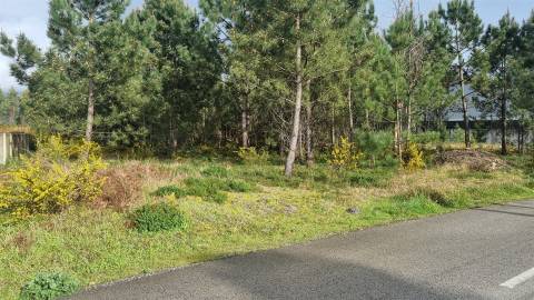 Terreno Industrial 5.110m² em Picassinos, Marinha Grande