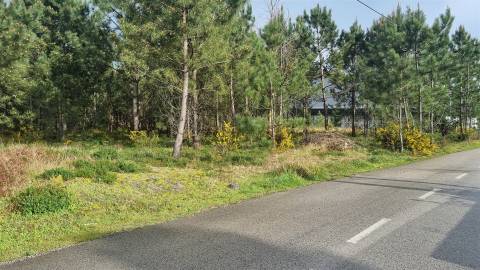 Terreno Industrial 5.110m² em Picassinos, Marinha Grande