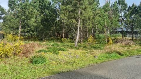 Terreno Industrial 5.110m² em Picassinos, Marinha Grande