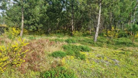 Terreno Industrial 5.110m² em Picassinos, Marinha Grande