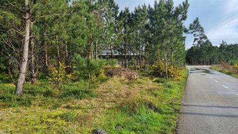 Terreno Industrial 5.110m² em Picassinos, Marinha Grande