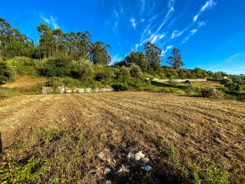 Terreno com Projeto Aprovado para Moradia | Alqueidão da Serra – Porto de Mós