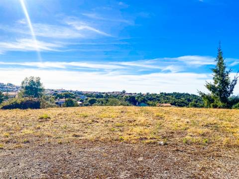 Terreno com Projeto Aprovado para Moradia | Alqueidão da Serra – Porto de Mós