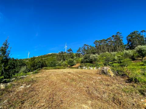 Terreno com Projeto Aprovado para Moradia | Alqueidão da Serra – Porto de Mós
