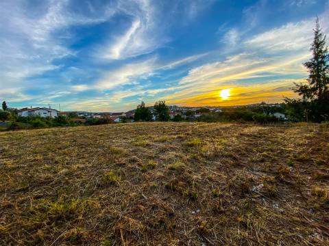 Terreno com Projeto Aprovado para Moradia | Alqueidão da Serra – Porto de Mós