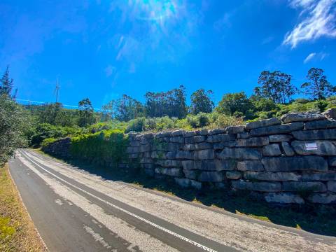 Terreno com Projeto Aprovado para Moradia | Alqueidão da Serra – Porto de Mós