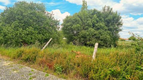 Lote de Terreno de terreno Urbano – Paião, Figueira da Foz