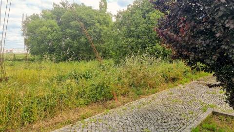 Lote de Terreno Urbano – Paião, Figueira da Foz