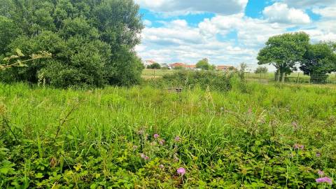 Lote de Terreno Urbano – Paião, Figueira da Foz