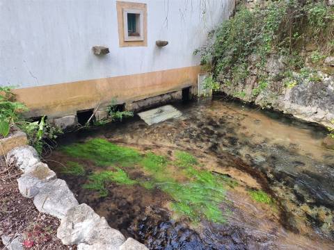 Vende-se Quinta – propriedade única à beira-rio - em Redinha, Pombal