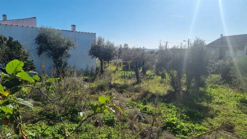Terreno com Viabilidade de Construção – 456 m² | Próximo de Leiria
