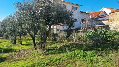 Terreno com Viabilidade de Construção – 456 m² | Próximo de Leiria