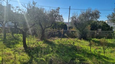 Terreno com Viabilidade de Construção – 456 m² | Próximo de Leiria