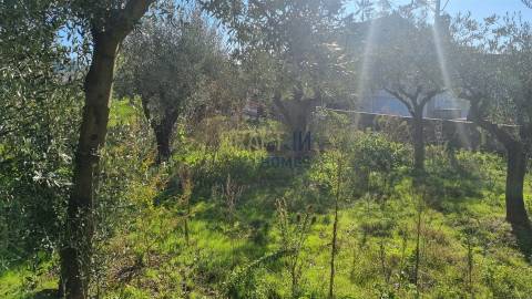 Terreno com Viabilidade de Construção – 456 m² | Próximo de Leiria