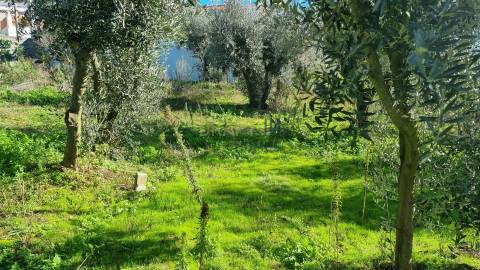 Terreno com Viabilidade de Construção – 456 m² | Próximo de Leiria