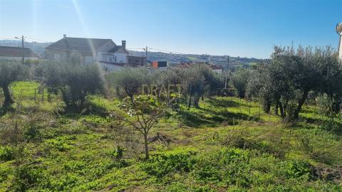 Terreno com Viabilidade de Construção – 456 m² | Próximo de Leiria