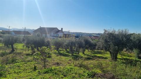 Terreno com Viabilidade de Construção – 456 m² | Próximo de Leiria