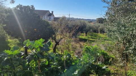 Terreno com Viabilidade de Construção – 456 m² | Próximo de Leiria
