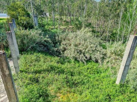 Armazém destinado a Indústria e Armazém – Macieirinha, Leiria